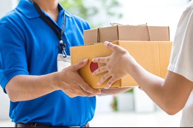 Maritime Logistics Egypt Parcel delivery services for vessels across Egyptian ports by Manta Shipping