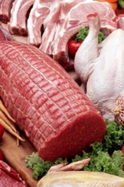 Frozen meats & chicken ship supply Egypt – premium poultry, beef & seafood